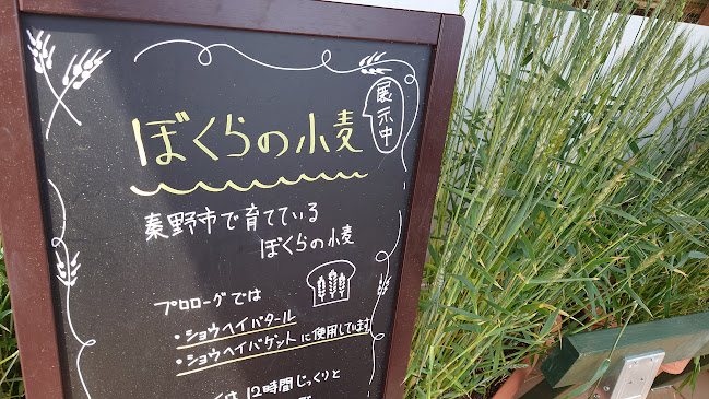 Comentarii opinii despre パンステージ プロローグ