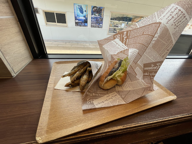 Comentarii opinii despre Latimeria～ラティメリア