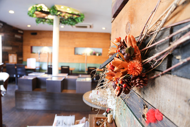 オーガニック食堂Engi (エンギ)