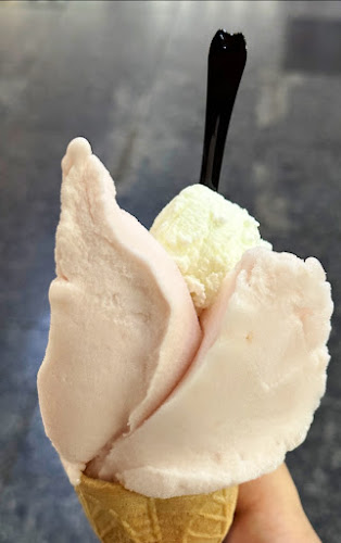 レ・ディ・ローマ 函館 金森赤レンガ倉庫 本店 - 飲食業