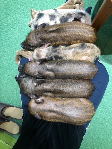 〒343-0828 埼玉県越谷市レイクタウン４丁目2番地2 イオンレイクタウン kaze 1F