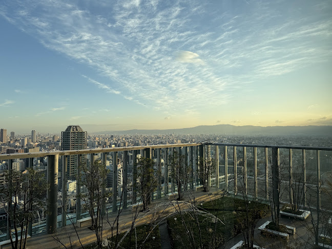 〒545-0052 大阪府大阪市阿倍野区阿倍野筋１丁目１−４３ あべのハルカス 17F