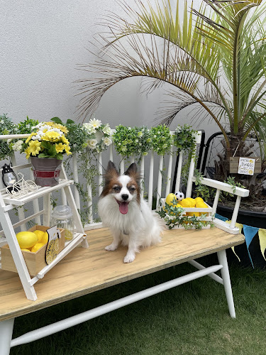 〒274-0805 千葉県船橋市二和東６丁目３−５