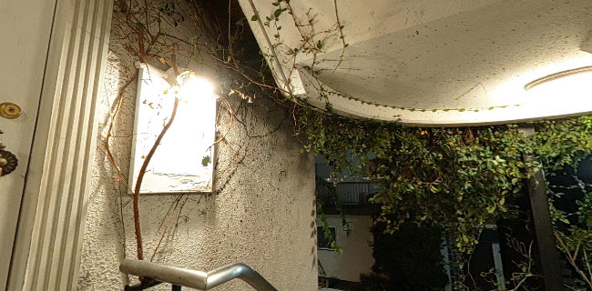 〒180-0004 東京都武蔵野市吉祥寺本町２丁目１４−７ 吉祥ビル 2F