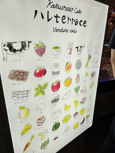 ハレTerrace東京 ららぽーと豊洲３/店 - 飲食業