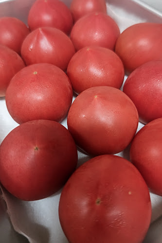 居酒屋食堂 めっし