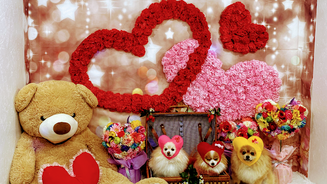 Dog 🐾café & Bar mint(ドッグカフェミント) - 堺市