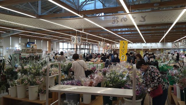 〒781-0083 高知県高知市北御座１０−４６