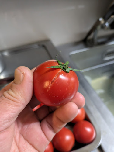 居酒屋食堂 めっし - 呉市