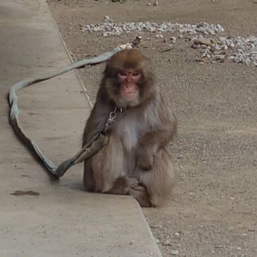 〒615-8017 京都府京都市西京区桂河田町１５１