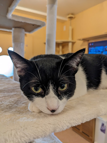 〒275-0001 千葉県習志野市東習志野８丁目２１−２７