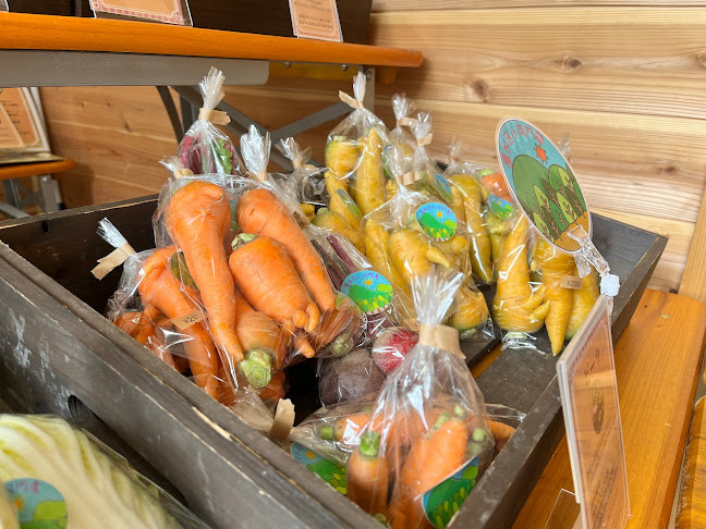 〒424-0305 静岡県静岡市清水区小島町６−３