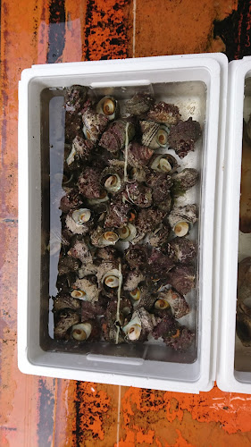 〒670-0017 兵庫県姫路市福中町２０