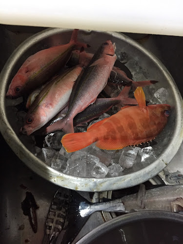 〒901-2202 沖縄県宜野湾市普天間１丁目１１−９