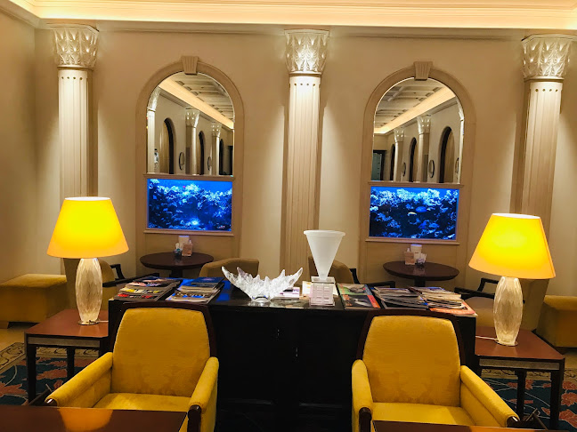 〒104-0061 東京都中央区銀座５丁目４−６ B1F