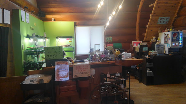 Comentarii opinii despre エキゾチックアニマルカフェRicky秋田店 猫カフェ+