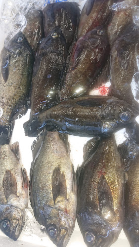 Opinii despre （有）マルエ水産 în 姫路市 - 飲食業