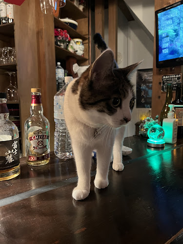 Opinii despre カサ・フロールCASA FLOR în 函館市 - 飲食業