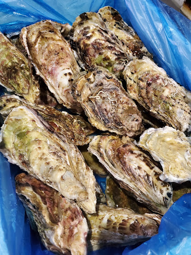 Comentarii opinii despre 旬創キッチン花さか亭