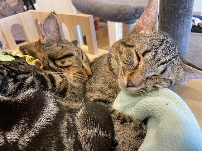 〒857-0066 長崎県佐世保市小島町７−２４