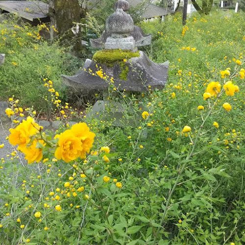 Comentarii opinii despre 甘味処 団ぷ鈴