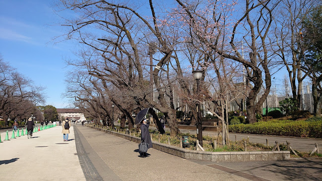 Comentarii opinii despre 上野精養軒