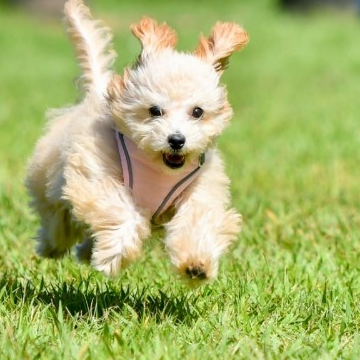 Opinii despre D-LAND în 京都市 - 飲食業