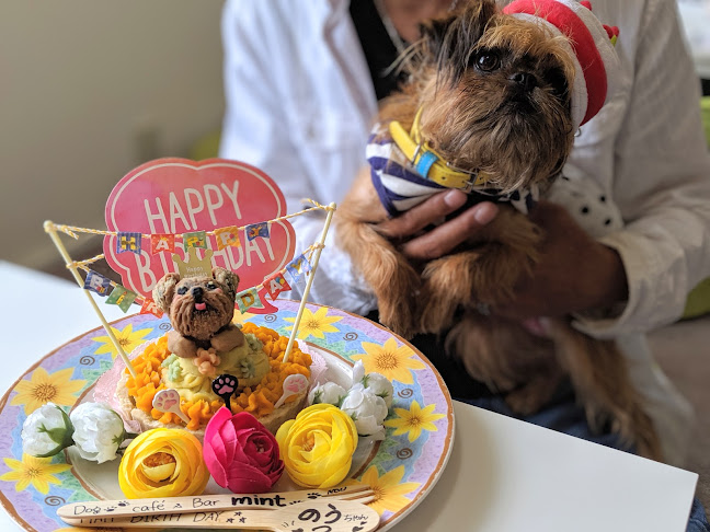 Dog 🐾café & Bar mint(ドッグカフェミント) - 飲食業