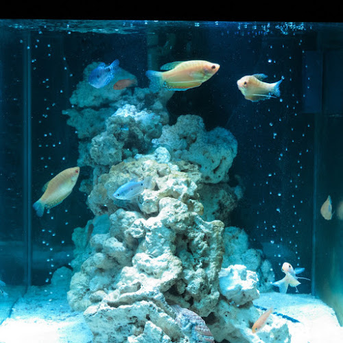 Bar + Dining M's - 習志野市