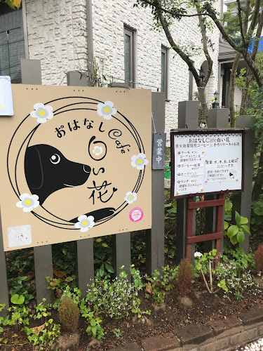 おはなしCafe白い花 - 三島市