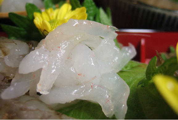 〒930-0003 富山県富山市桜町１丁目４−１０ パティオさくら 2F