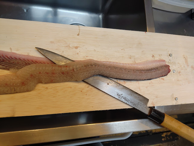 立吞処さくら - 大阪市