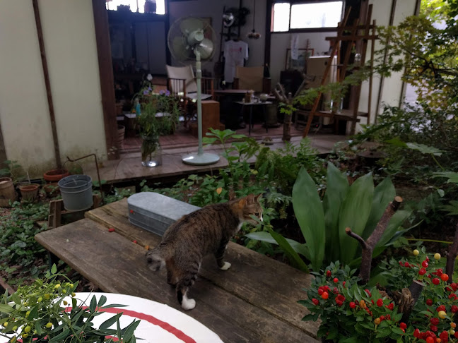 〒815-0034 福岡県福岡市南区南大橋２丁目１５−１９