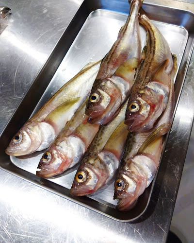 〒380-0824 長野県長野市南石堂町１４１８ ダイトービル 2F