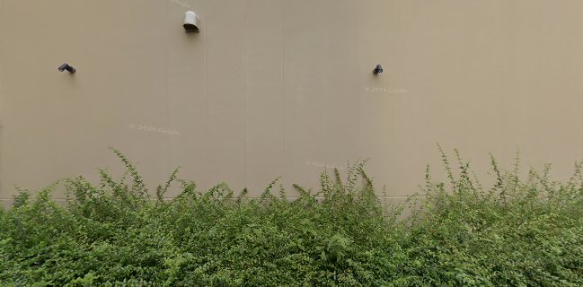 Opinii despre TRAVELING COFFEE în 京都市 - 飲食業