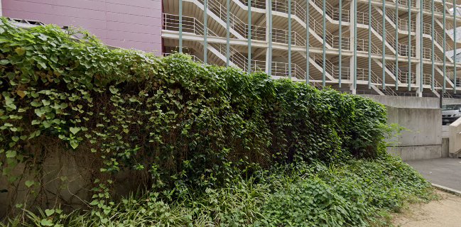 もりもり寿し イオンモール大阪ドーム店