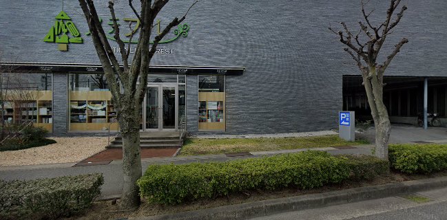 森のステファニー