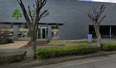 森のステファニー