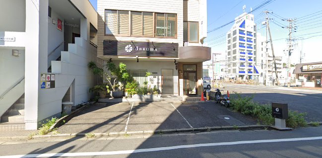 津daRumA（ダルマ）