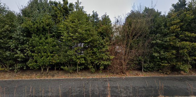 お好み焼き 湊商店 ジ アウトレット広島店