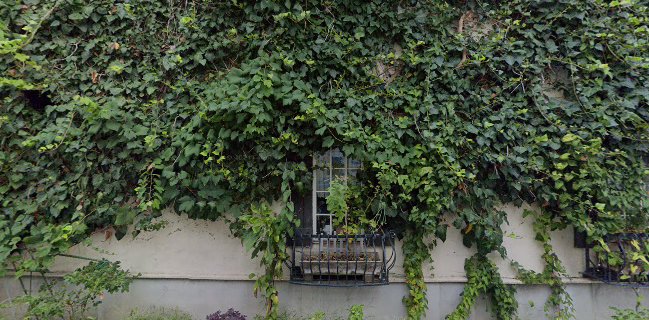 ビストロ フライパン