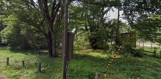 カフェ グリューン