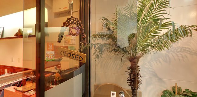 おしゃべりな亀