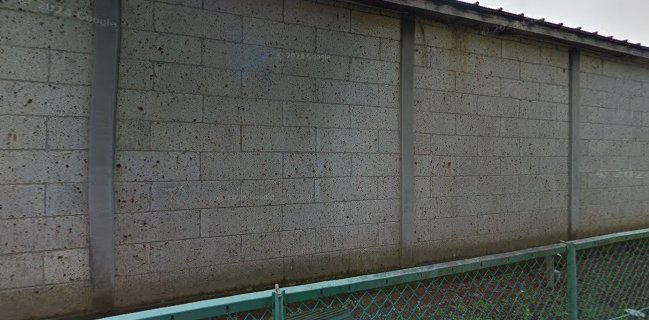 TURQUOISE(ターコイズ)／徳(TOKU)