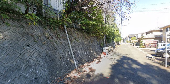 THE ORIENTAL TERRACE